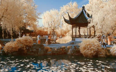 Humble Administrator’s Garden Suzhou: Complete Visitor Guide to Zhuozheng Garden, History, Highlights & Tips