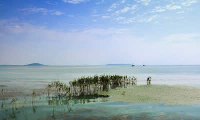 East Hill (Dongshan)