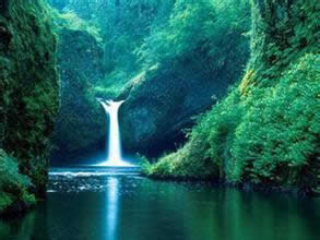 Huishan National Forest Park
