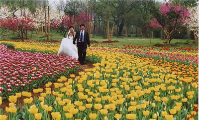 Nanjing Lover's Garden
