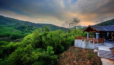 Nanjing Laoshan National Forest Park