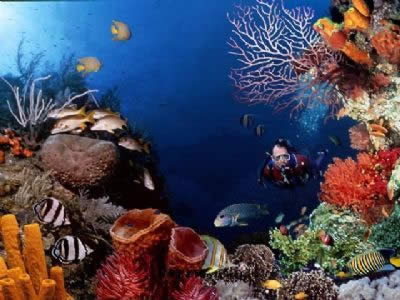 Nanjing Uderwater World (Nanjing Aquarium)