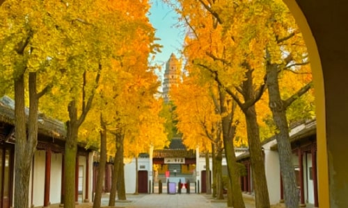 Tiger Hill (Huqiu) Travel Guide: Exploring Suzhou’s Iconic Leaning Pagoda