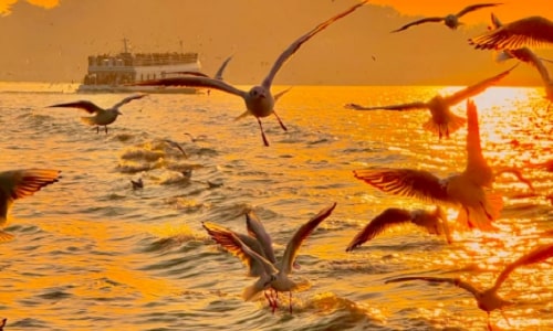 Taihu Lake Wuxi Travel Guide: Exploring China’s Third-Largest Freshwater Lake