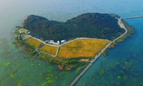 Xishan Island Travel Guide: Discover the Hidden Gem of Suzhou's Taihu Lake