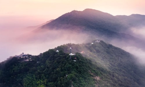 Exploring Purple Mountain in Nanjing: A Journey Through History, Nature and Culture
