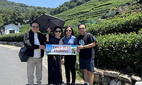 Suzhou Biluochun Tea Tour with Farmer Visit & Lunch: Explore Tea Heritage at West Hill