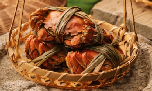 Yangcheng Lake Hairy Crab: A Suzhou One Day Trip for Food Lovers