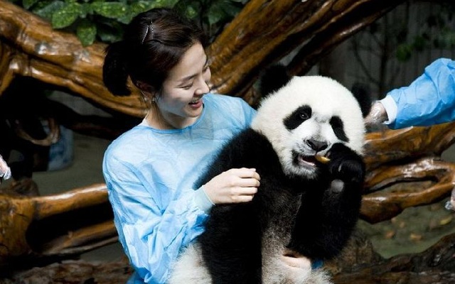 Suzhou_Tours_Suzhou_China_Tours_China_Panda.jpg