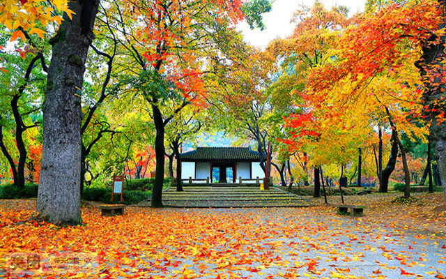 Suzhou_Tours_Taiping_Mountain.1.jpg