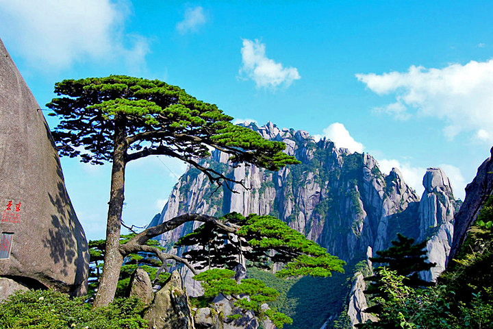 Huangshan_Tours_Mt_Huang_Private_Tours_Huangshan_Attractions_Huangshan_Day_Tour