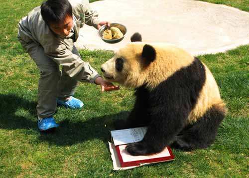 Chengdu_Travel_Guide_Chengdu_Private_Tours_Chengdu_Trip_Chengdu_Guide_Chengdu_Highlights_Panda_Food03.jpg