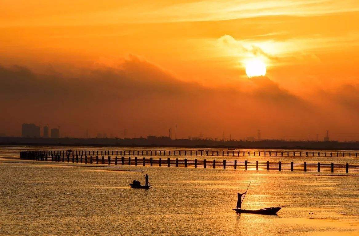 Yangcheng Lake teems with aquatic wildlife, especially freshwater fishes like salmons, turtles, whitefish, eels, shrimps and crabs which together are called 'The Six Treasures in the Yangcheng Lake'.