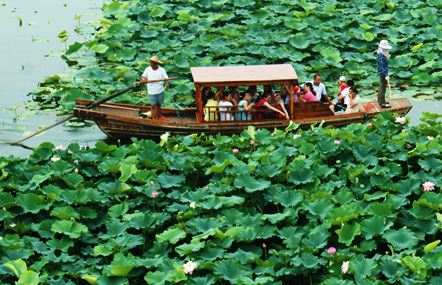 Lotus Pond and Moonlight Wetland Garden2.jpg