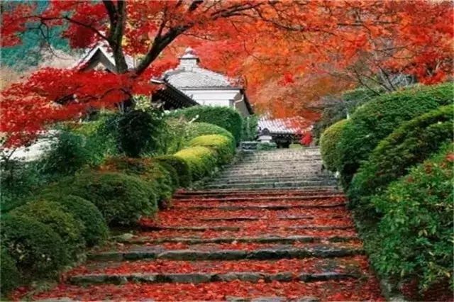 Shangfangshan Hill National Forest Park.jpg