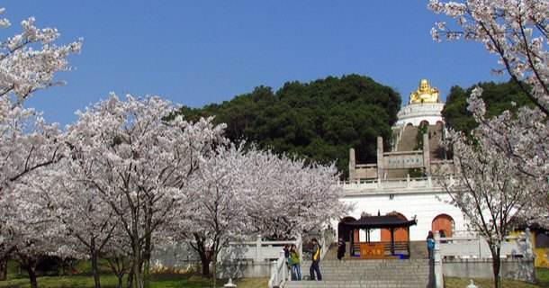 Shangfangshan Hill National Forest Park2.jpg