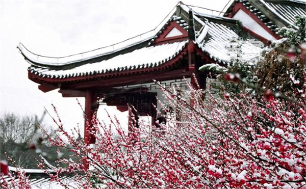 wuxi_attractions_plum_garden1