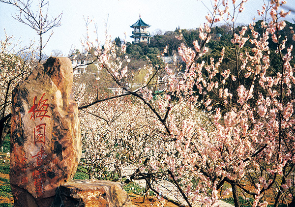 wuxi_attractions_plum_garden4