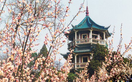 wuxi_attractions_plum_garden5