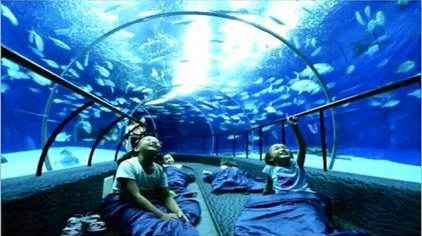 Suzhou_Ocean_Aquarium1.jpg