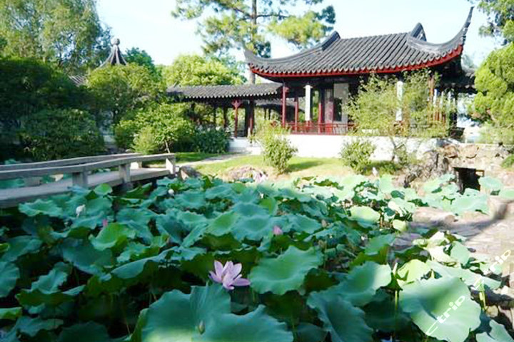 qiyuan_garden2.jpg