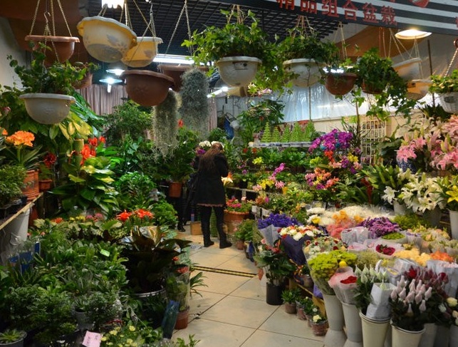 flower_and_bird_market3.jpg