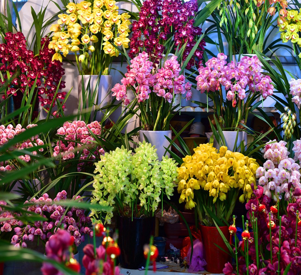 flower_and_bird_market6.jpg