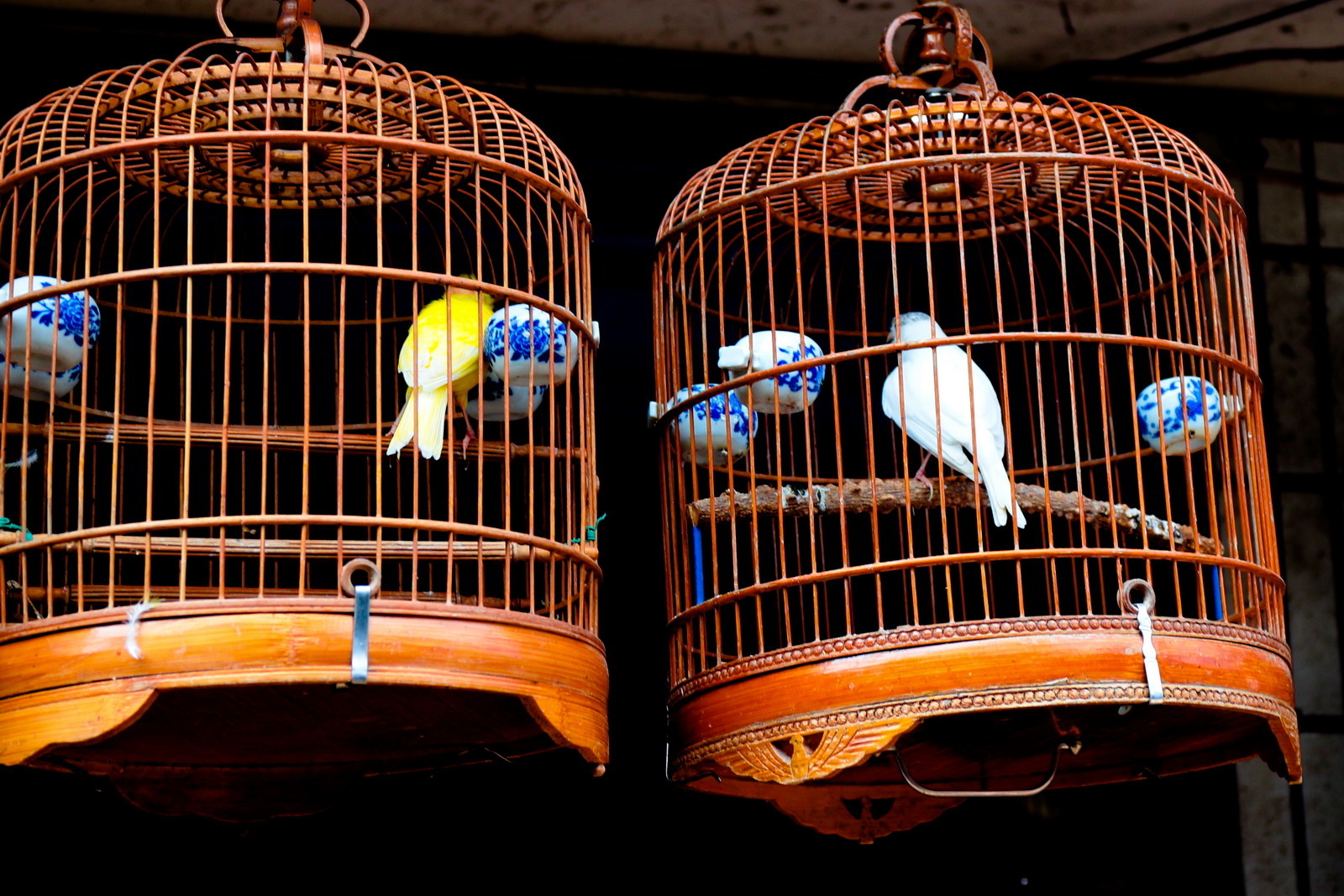 flower_and_bird_market9.jpg