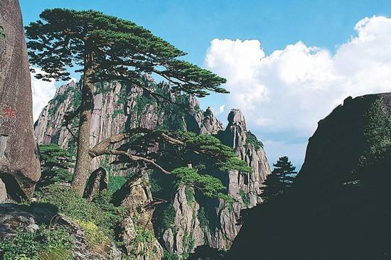 3_days_beijing_huangshan_tour_by_high_spped_train