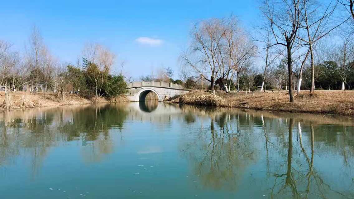 lianghong_national_wetland_park1.jpg