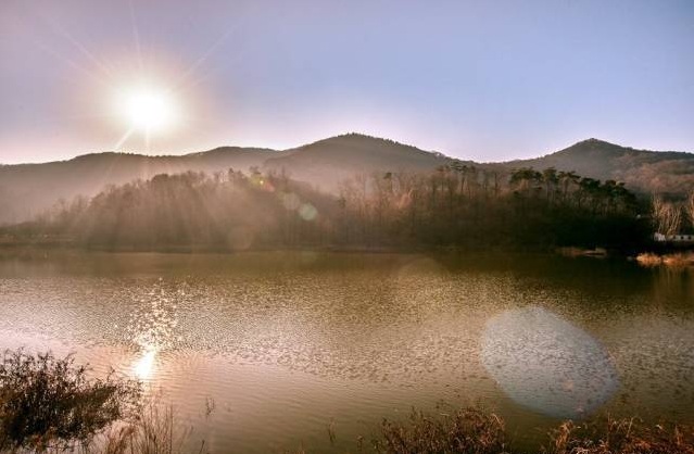 nanjing_laoshan_forest_national_park1.jpeg