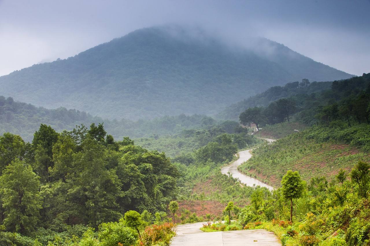 nanjing_laoshan_forest_national_park2.jpeg