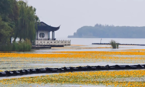 Jinting-town-taihu