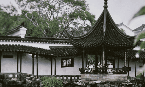 Master-of-Nets-Garden
