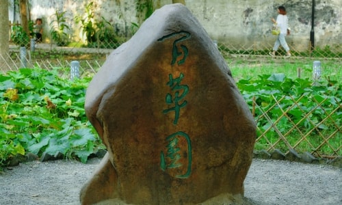 Baicao-Garden-Shaoxing