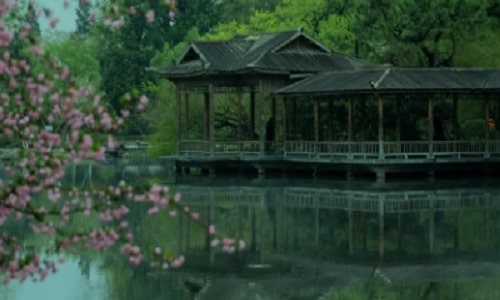 flower-harbor-park