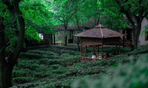 Tiger-hill-suzhou-hiking