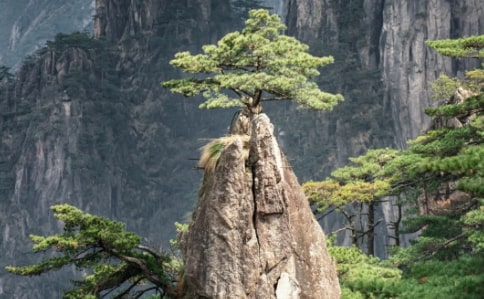 miaobishenghua-huangshan