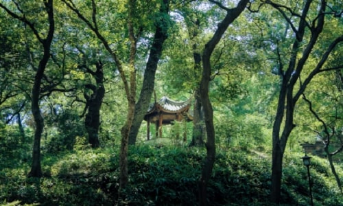 tiger-hill-suzhouhiking