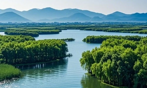 Taihu-National-Wetland-Park