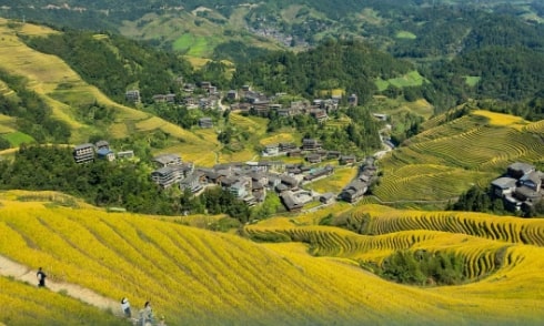 Longji-Rice-Terraces-suzhou