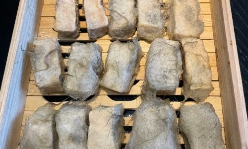 Maotofu