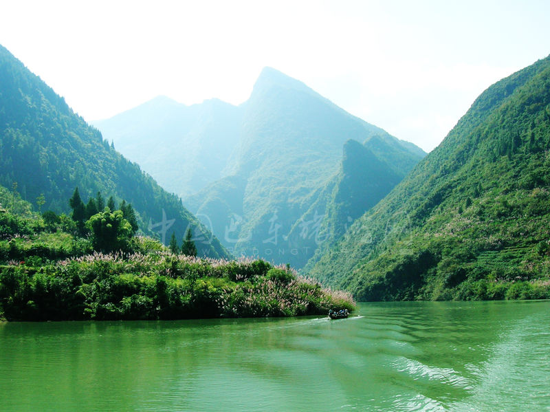 Shennong-Stream