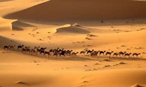 dawakun-desert