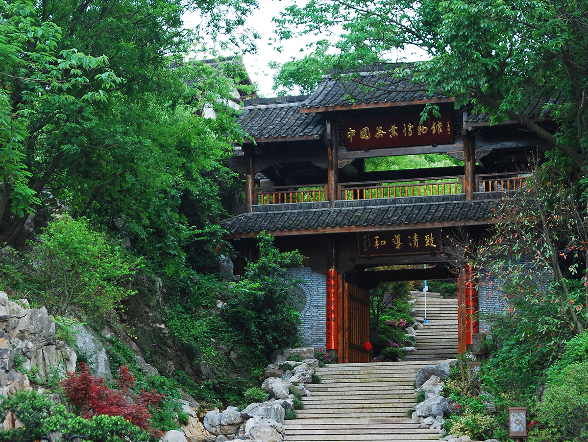 China-National-Tea-Museum