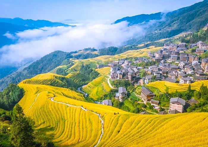 Longji-Rice-Terraces-area-guilin