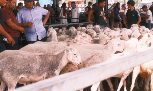 bazaar