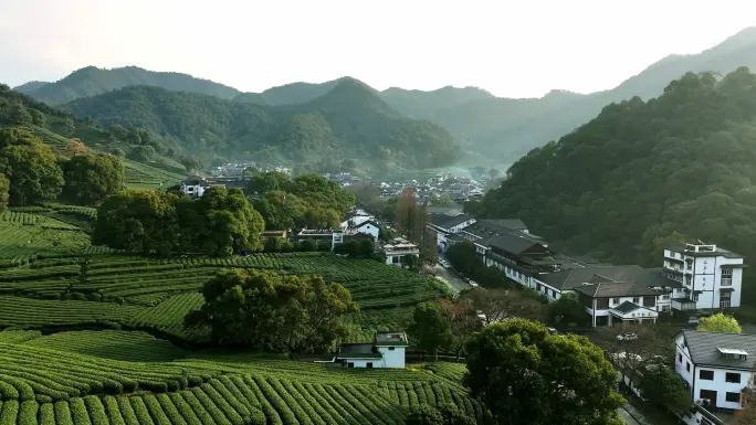 Meijiawu-Tea-Plantation-hangzhou