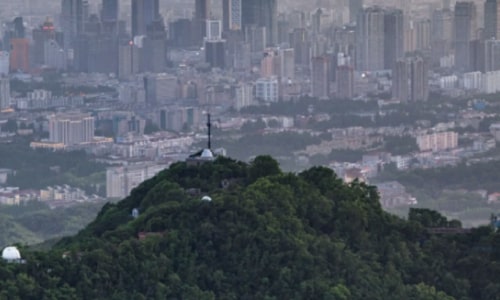 purple-mountain-nanjing