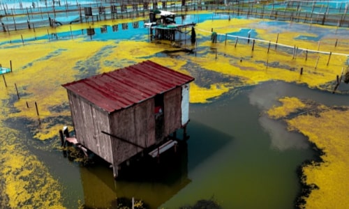 local-farm-base-suzhou